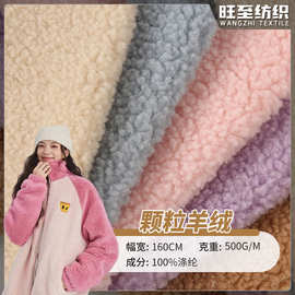 颗粒羊绒500g单面加厚毛绒面料 厂家时尚潮流家居服羊羔毛绒布