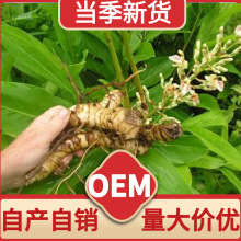 高良姜香料卤料包大料调味料火锅底料原产地种植批发一件代发