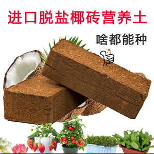 Small coconut brick 650g nutrient soil organic flower growing vegetable plant brick coconut Bran brick cultivation substrate wholesale