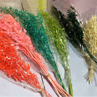 厂家批发永生花干花配材绿叶富贵叶创意DIY花束制作材料