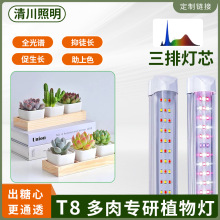 ����ֲ�����L����ȫ���VT8���⌣����ɫ���ܟ�ֲ����ϲ����Ō���