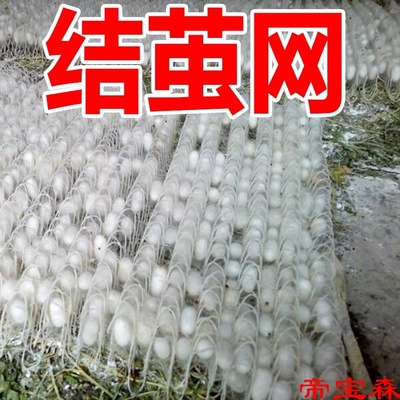 Sericulture Plastic mesh Grid cluster Ten years 1 6-900 Silkworm