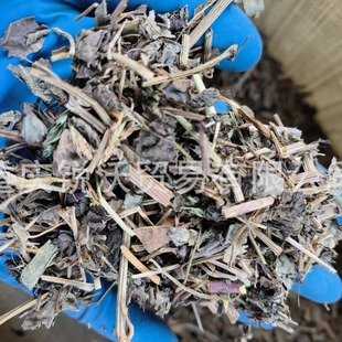 1����ɢ�b������ �R����o�~���~��؛�жζ��������ك��y�����