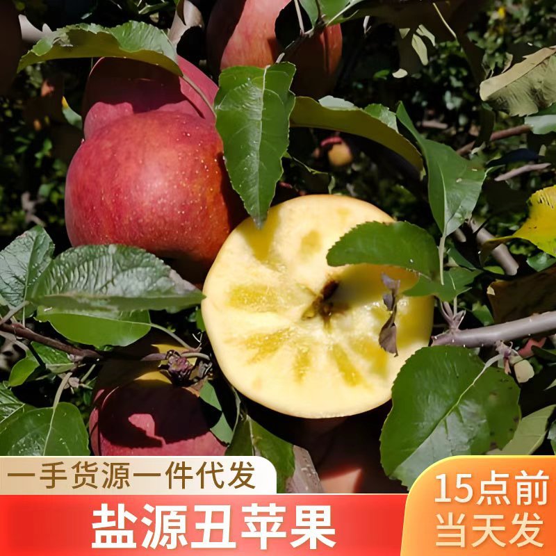四川大凉山盐源丑苹果级大果应季糖心水果新鲜当季整箱脆甜