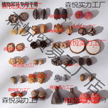 ֲhȻɹϹDIYςԄС