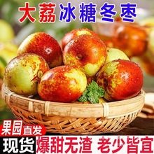 陕西大荔冬枣枣子5斤新鲜大枣当季整箱水果青枣脆枣冰糖鲜枣应季