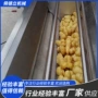 中药材党参清洗机