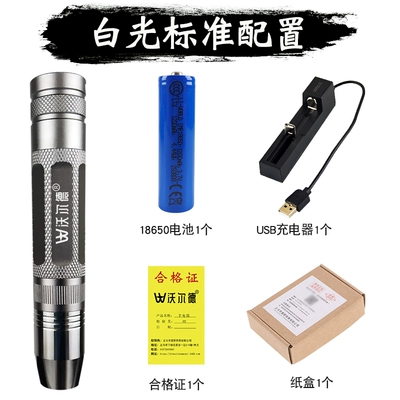 UV fənərlər strong cold light, fully automatic - silver-egg-shaped-light-standard-configuration-with-two-brightness-levels