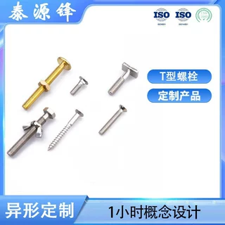 异形螺丝 非标定制不锈钢/碳钢T型螺栓冷镦T型不锈钢半牙螺栓