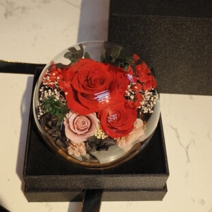 Eternal Flower Spherical Glass Cover Rose Carnation Eternal Flower Gift Valentine's Day Mother's Day Gift Real Flower Hot Sale