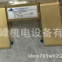   GC VALVES ֹyĤyˮy S301YF16N3BE1F