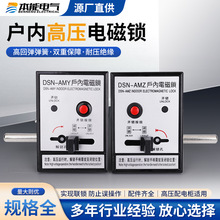 厂家供应DSN-AMY/AMZ/BMY/BMZ/IYIZ交直流耐压绝缘户内高压电磁锁