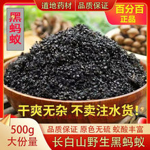 黑蚂蚁干500g克长白山黑蚂蚁干无硫泡酒送枸杞人参真货好货真货