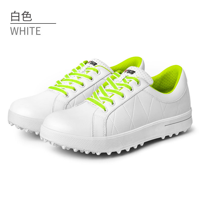 화이트