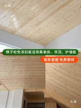 ����t���l��ľ�컨��ľ��ɣ�������픿۰����ľѩ��ɼľɣ�ð�