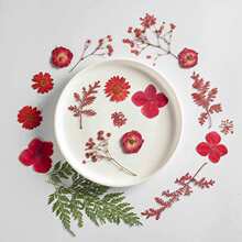 �ɻ�diy���ω�������Ѻ�����M����õ������~ֲ��˱����z�ɻ���