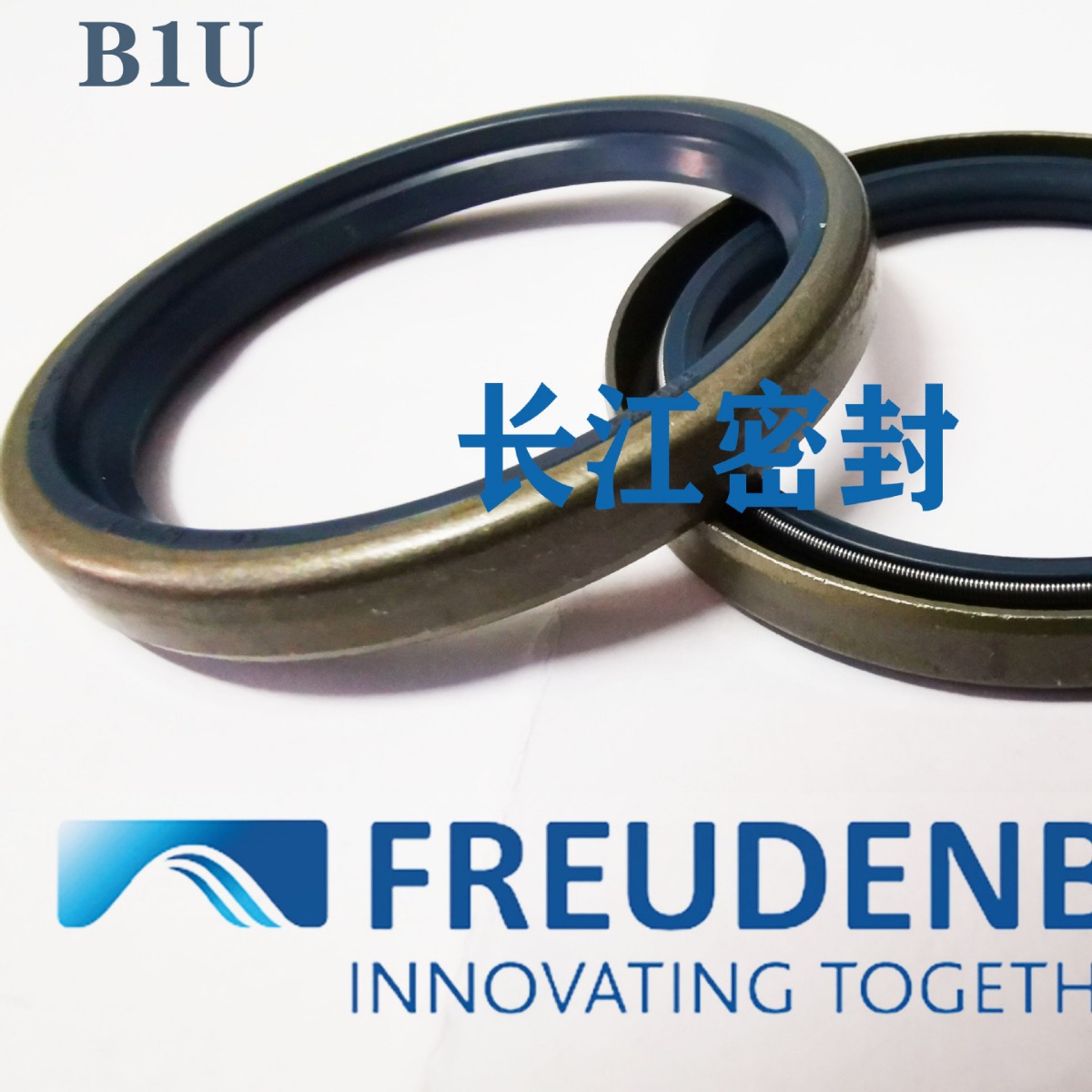 德国cfw铁骨架油封 B1U1X2 20-28-6  19-27-6 20-28-6 DIN3760B