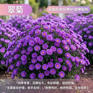 ������һ��ջ��玧�����������޸�����ͥԺ�̨����С�r�ͺ��͟�