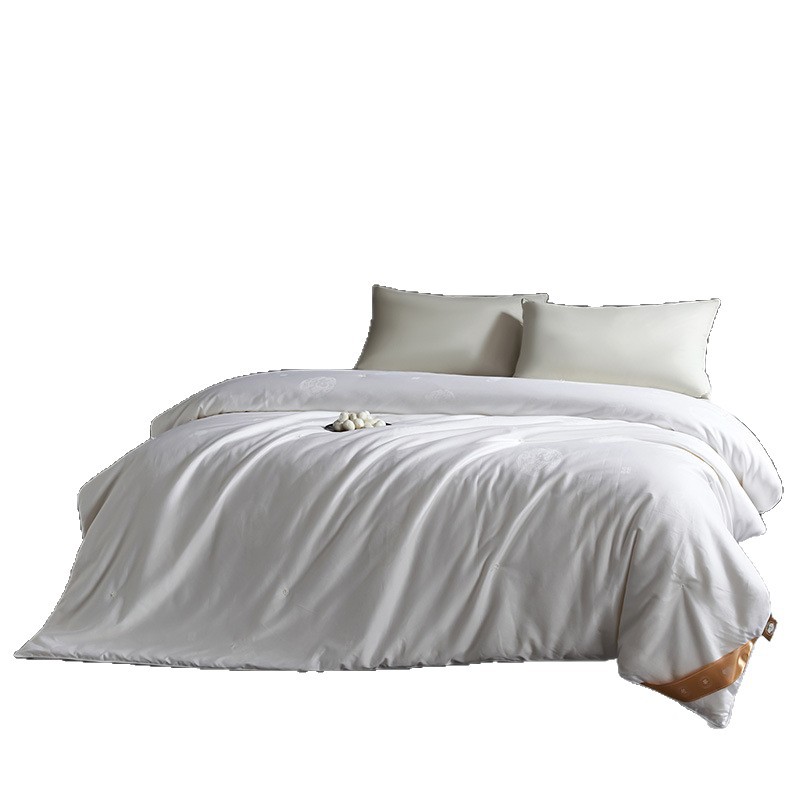 Keep warm silk winter summer duvet, increased thickness
