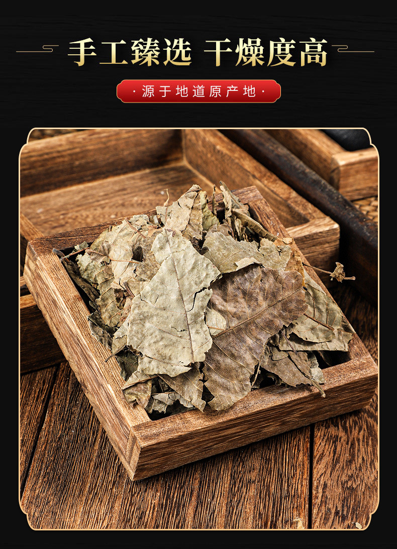 Qing Qian Liu Leaves (Cyclocarya paliurus) — Dried Food Herb for Herbal Tea, 500g in use