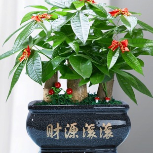 �lؔ�����Ԙ䘶�҃ȴ��;Gֲ�_�I�ͶYǰ̨��̖���X���ļ�����