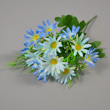 �����Pβ�ջ���ɭϵС�r�����l�Ҿ��b����m��СҰ�ջ��h�仨