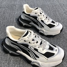 Ь2025ļ¿ƤW͸p\eKKϵЬ