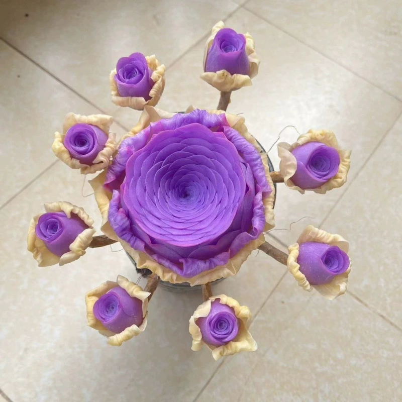 Фиолетовые горные розы мясистые бычковые горшечные новые фиолетовые розовые розовые саженцы балконы офисные горшечные растения