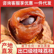 新货广东特产桂味荔枝干核小肉厚无熏硫500g糯米糍荔枝干一件代发