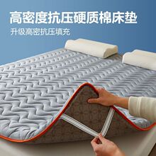 a类加厚床垫铺底家用榻榻米软垫褥学生宿舍床褥子租房单双人垫被