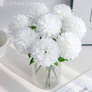 ���滨��� �ٻ�ƹ������ѹ�Ӣ ��c�ҾӾƵ�zӰ�廨�b[��