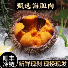 ����đ�����r���B�R�S��đ�r�������đ�S��đ��ˮ��ԭ������