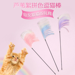 Cat Teaser Wand Cat Toy Self-High Reed Fluff Cat Tassel Teaser Feather Wand Kit for Kittens Cat Toys Ball Pet Supplies