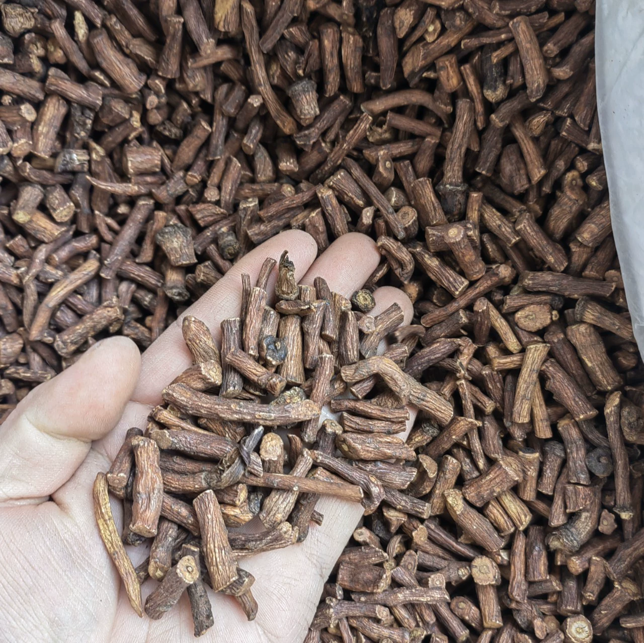 【Wholesale】Dandelion root Changbaishan dandelion tea New goods dandelion root dandelion root Various herbal teas