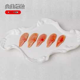 尖每樱蛤天然海螺贝壳标本螺鱼缸水族造景装饰摆件礼物收藏源头批