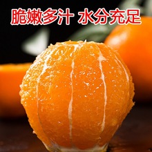 【好吃到爆】江西赣南脐橙5/0/20斤新鲜水果应季寻乌甜橙子