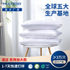 Manufactor hotel hotel Same item Slow rebound memory Pillow core The bed Supplies cervical vertebra sleep pillow