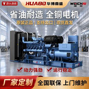 �H��500/850/1000/1500/2500KWȼ��l늙C�M���������Ȼ��l늙C