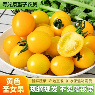 黄色圣女果夏日阳光新鲜番茄自然熟多汁千禧孕妇水果小西红柿包邮
