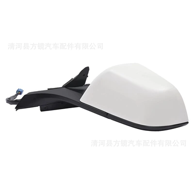 Assembly with Paint, Car mirror