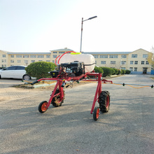 �ַ�����ʽ��ș�C С�������߲˸߼܇�ș�C݆ʽ���F��