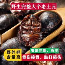 �F؛�F؛��ș�����AҰ����Ʒ���M�x�����x�ɴ���M���x�ؼ����ٰl