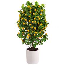 ��ۘ����Ԏ����͏d�҃ȴ���ֲ��С�����辰���B��۾Gֲ����