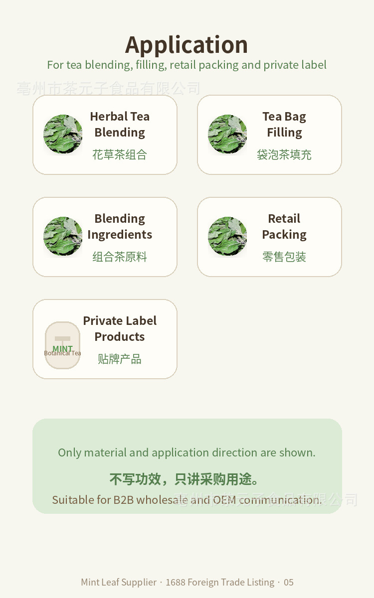 Dried Peppermint Leaf Bo He 薄荷叶 Herbal Tea Ingredient 500g quality and texture