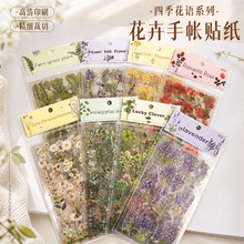 ��ˇ�L����PET�N��͸���ļ����Z���~ƴ�N�b��ز���÷�ˮdiy�N��