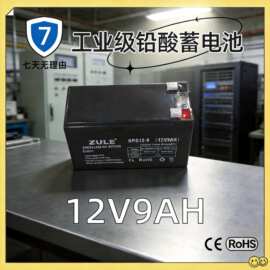 ZULE12V9AH铅酸蓄电瓶直流屏机房EPS备用蓄电池免维护ups电瓶
