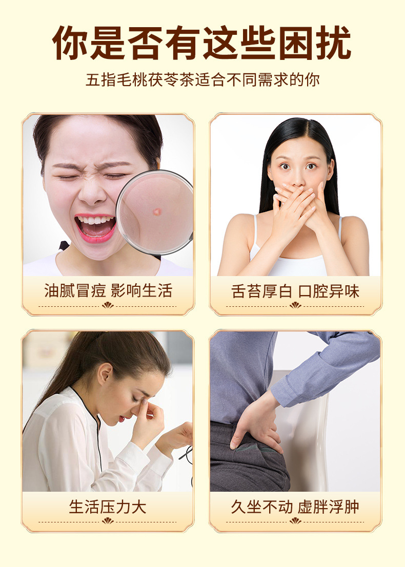 Wuzhi Maotao Fuling Tea Bags 8g x 50 Pyramid Bags Herbal Blend for Daily Wellness Steeping overview