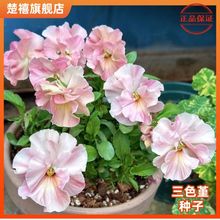 ߅ɫNļ_ɫNļN׷N׻ͺN