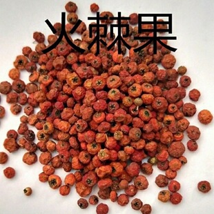 �𼬹� ���l��ș�ľ��x�𼬹� ���� ��ѹ� �ȱ��Z ��܊�Z ���