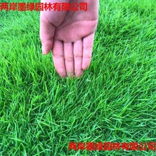 ��ƺ�N���ļ����๷�����R�����������o�²�Ƥ���ӻ��ܽM�ϲ���